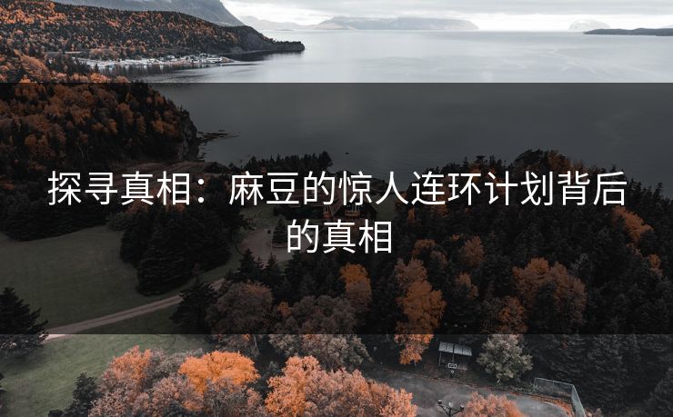 探寻真相:麻豆的惊人连环计划背后的真相 探寻真相:麻豆的惊人连环计划背后的真相