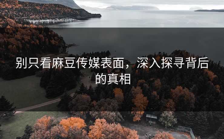 别只看麻豆传媒表面,深入探寻背后的真相