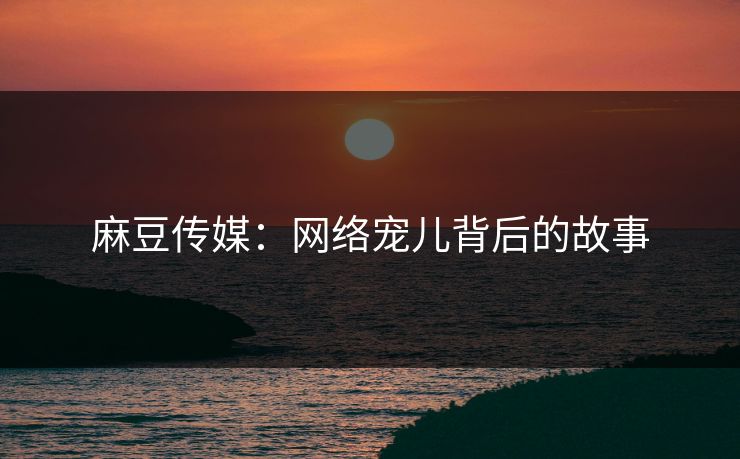 麻豆传媒：网络宠儿背后的故事