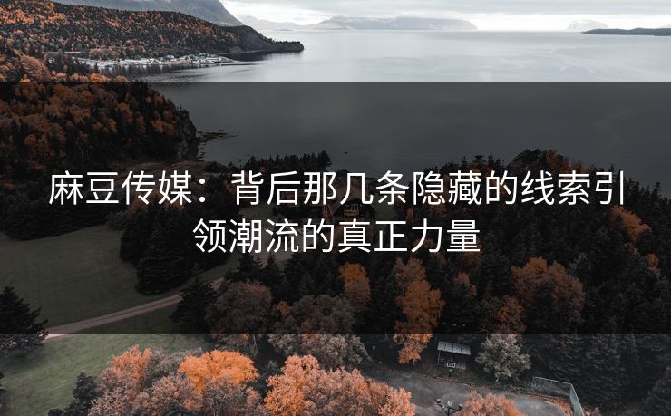 麻豆传媒:背后那几条隐藏的线索引领潮流的真正力量 麻豆传媒:背后那几条隐藏的线索引领潮流的真正力量