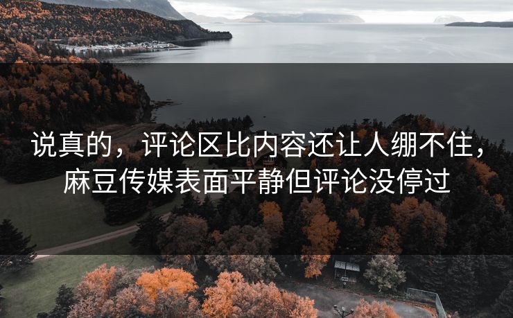 说真的,评论区比内容还让人绷不住,麻豆传媒表面平静但评论没停过 说真的,评论区比内容还让人绷不住,麻豆传媒表面平静但评论没停过