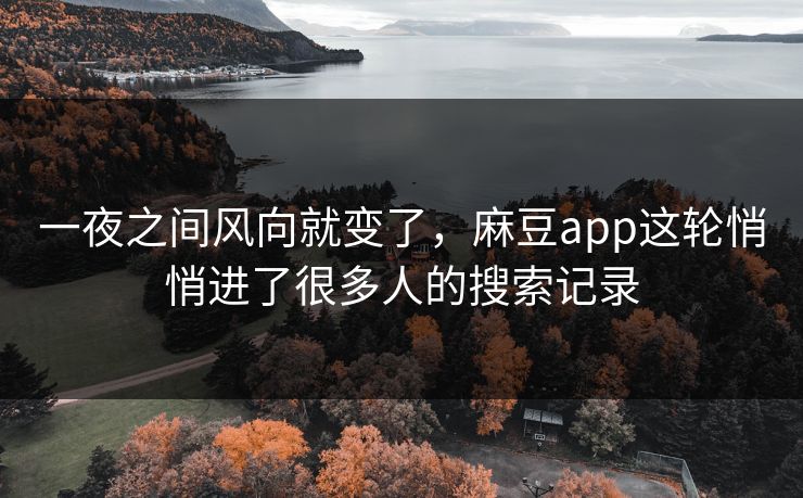 一夜之间风向就变了,麻豆app这轮悄悄进了很多人的搜索记录 一夜之间风向就变了,麻豆app这轮悄悄进了很多人的搜索记录